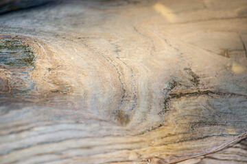 Obraz premium Piękna faktura drewna