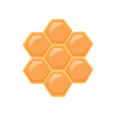 Honeycomb isolated on white background. Honeycomb full of honey. Vector stock