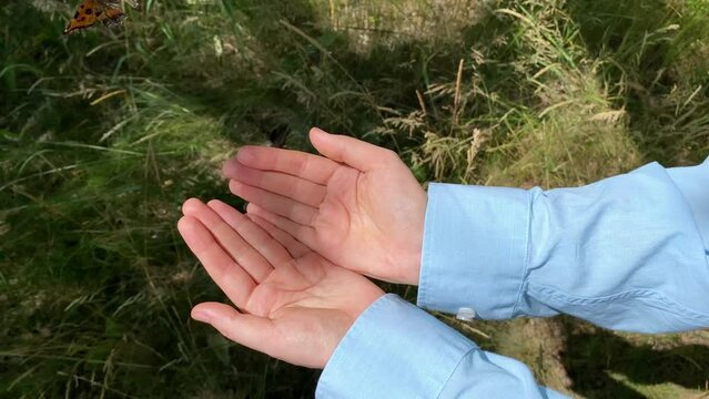 A butterfly flies out of a woman's hands against a background of grass. Butterfly in hands