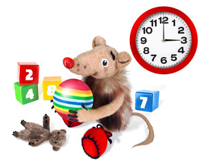 Mouse is playing with toys