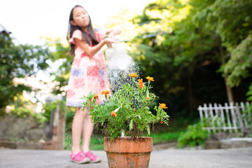 Naklejka premium 花に水を与える少女