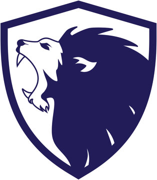 coat of arms with a lion