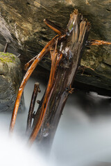 Driftwood torn loose in a mountain brook in the last storm