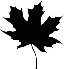 Black and White Cartoon Illustration Vector of a Maple Leaf