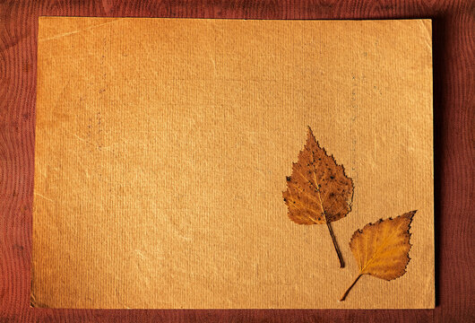 Old Paper with a Leaves