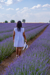 Lavender field.