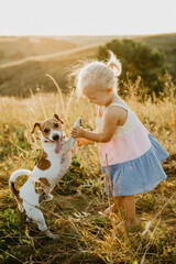 A little girl walks with a dog in the field at sunset.