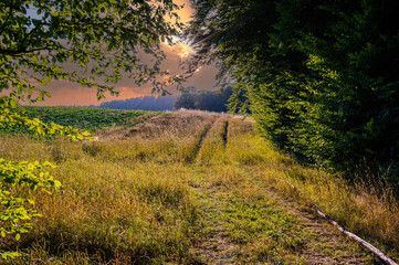Fototapeta na wymiar Sunset mood on the dirt road at the edge of the forest.