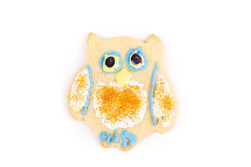 Single owl decorated with royal icing, sugar cookie isolated over white
