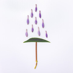 Composition of dry branch, green leaf and purple buds in flat lay.
Imitation of summer rainy weather with an umbrella and large drops.
Close-up top view, square shape.