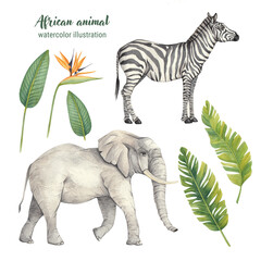 Watercolor African animals-elephant, zebra and tropical leaves isolated on a white background. Fauna and flora of the Savanna. Jungle decoration.