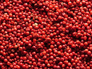 Pink or rose brazilian red peppercorns (schinus terebinthifolius)
