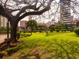 Trees, blue sky and beautiful residential and commercial buildings. Central panorama of the city of Belo Horizonte. Raul Soares Square.