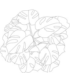 Vector house plant top view. Monstera potted plant illustration. 