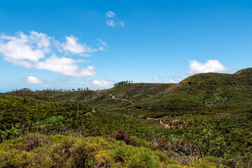 Panoramic mountain road through Vallehermoso near Fortaleza de Chipude on western coast of La Gomera, Canary Islands, Spain, Europe. Lush green valley and hills. Start descending to Valle Gran Rey