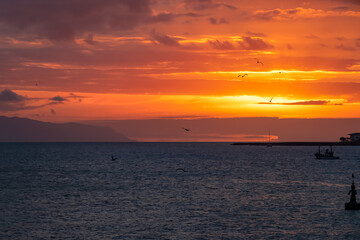 Obraz premium Romantic sunset seen from lookout Cypelek Los Cristianos, Tenerife, Canary Islands, Spain, Europe. Silhouette of birds entering frame. Fishermen boat on the way to Island of La Gomera in the distance