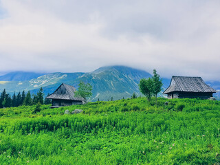 Two wooden huts among the green grass against the backdrop of the mountains