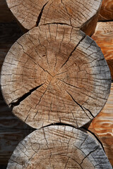 Round ends of wooden logs