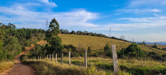 rural nature landscape in the interior of Brazil in a eucalyptus farm in the middle of nature