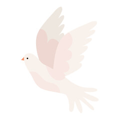Fototapeta na wymiar cute dove animal flying