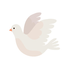 white dove flying