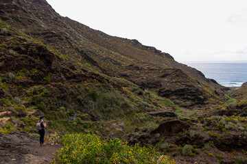 Obraz premium Woman walking on panoramic hiking trail through canyon Barranco de Afur Roque Paez in the Anaga mountain range, Tenerife, Canary Islands, Spain, Europe. Scenic hiking trail from Afur to Taganan