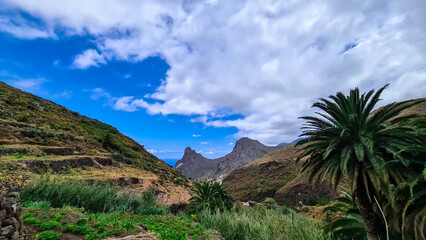 A large tropical palm tree with a panoramic view on Roque de las Animas crag and Roque en Medio in the Anaga mountain range, Tenerife, Canary Islands, Spain, Europe. Hiking trail from Afur to Taganana