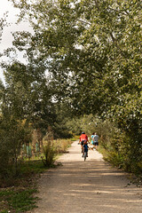 Fototapeta premium Grupo de personas montando en bicicleta por el campo.