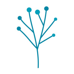blue seeds in branch
