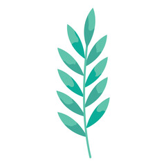 leafs branch foliage