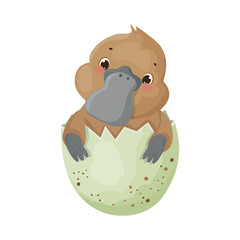 Platypus in eggshell. Colorful children's illustration.