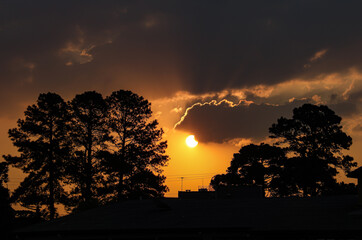 End of the day with the sun between clouds and the silhouette of trees, being able to see the round of the sun and highlighting the orange and black color.