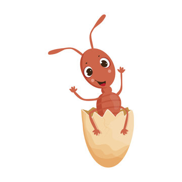 Ant in eggshell. Colorful children's illustration.