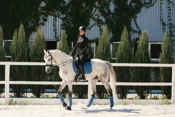 Equestrian sport. Portrait of young woman, female rider training at riding arena in summer day,...