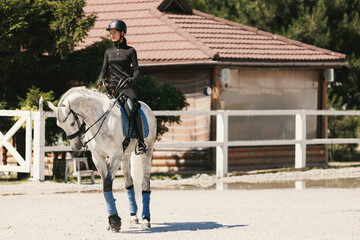 Equestrian sport. Portrait of young woman, female rider training at riding arena in summer day,...