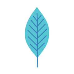 blue leaf plant ecology