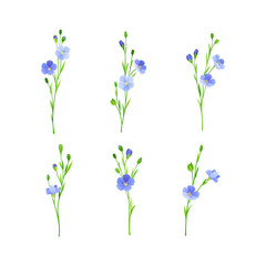 Fototapeta na wymiar Blue flax or linseed flowers set. Wild or cultivated flowering herbal plant vector illustration