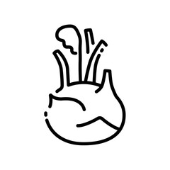 Kohlrabi icon vector illustration in outline style. Vegetable sign