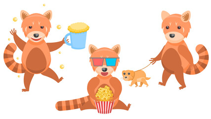 Set Abstract Collection Flat Cartoon Different Animal Red Pandas Watching A Movie With Popcorn, Drunk With A Mug Of Beer, Walking The Dog Vector Design Style Elements Fauna Wild