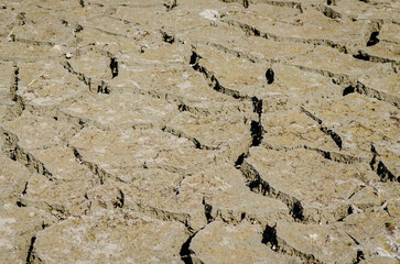 Dry parched land. A view of dry parched land in a parched riverbed.