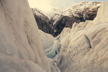 New Zealand landscape. Franz Josef Glacier