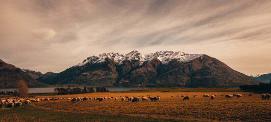 New Zealand Landscapes.