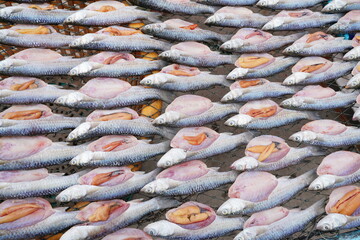 Snapper is sun dried only once.