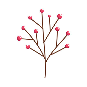 Red Seeds In Branch