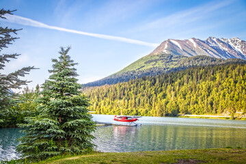 Red float plane parked on the waters of Upper Trail Lake on the Kenai Peninsula of Alaska USA framed by pine trees with blurred mountains with snow above the tree line in the background - Powered by Adobe