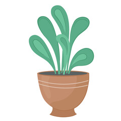 Vector illustration of home green plant in pot on white isolated background
