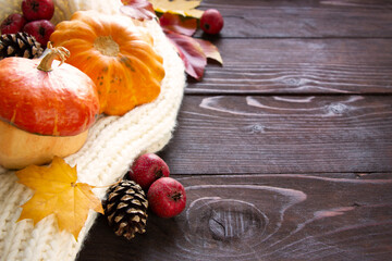 Autumn Background with warm clothes, pumpkin , cones and autumn leaves. Autumn template