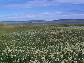 View of a loch near the Ring of Brodgar, Orkney Mainland, Orkney Islands, Scotland, United Kingdom
