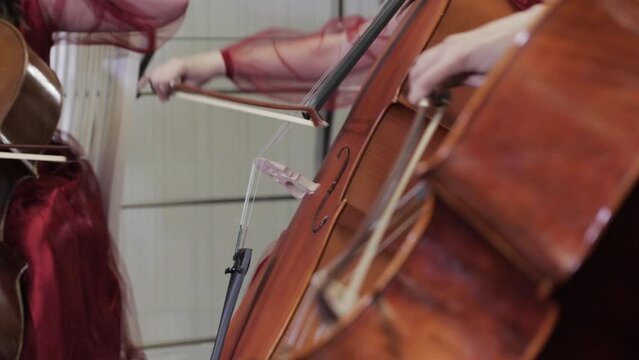 Cellists in red dresses play their instruments. Close-up. Soft focus. Foreground and background differ in focus
