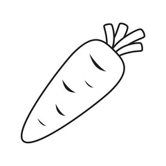 Carrot isolated on white background. Vector illustration